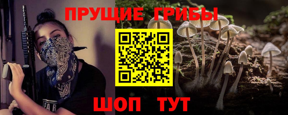 Галлюциногенные грибы Psilocybe  Вход с VPN  Псилоцибиновые грибы Cubensis  Люберцы 